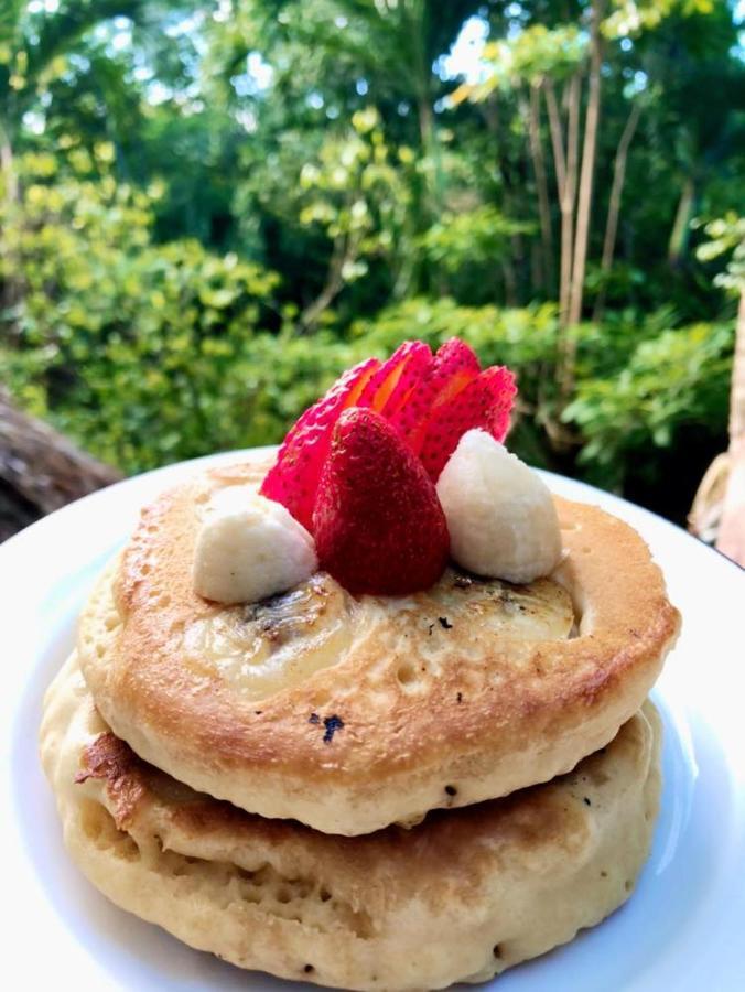 Bed & Breakfast La Selva Mariposa