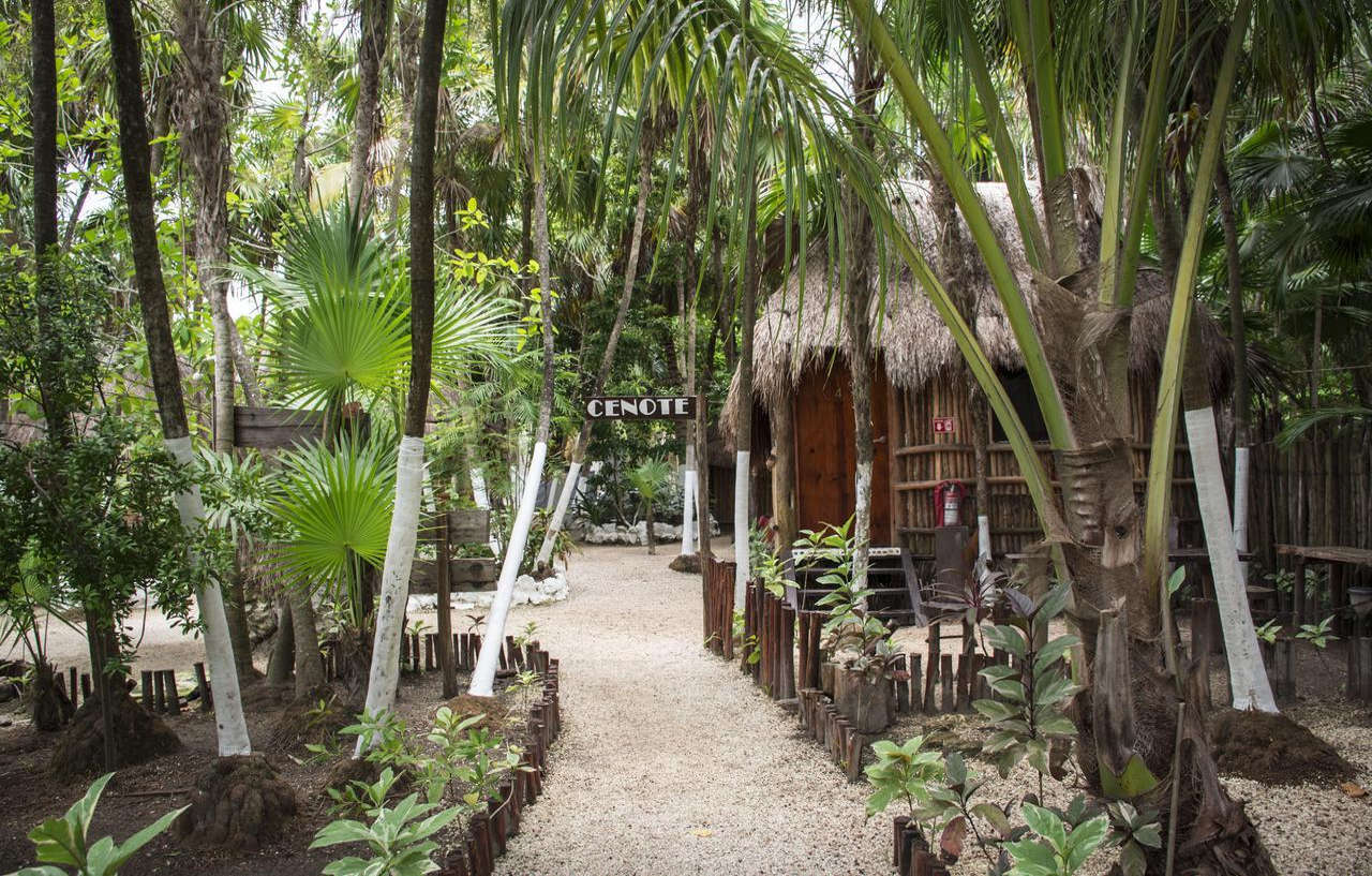 Maya Y Cenote 2*