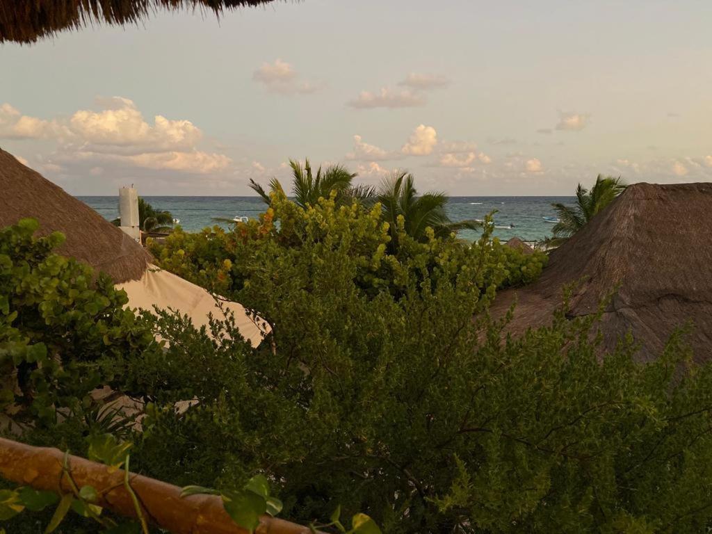 Hotel Pancho 3*