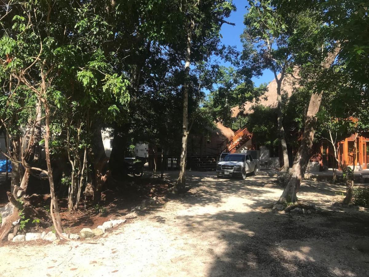 Campsite Nueve Tulum