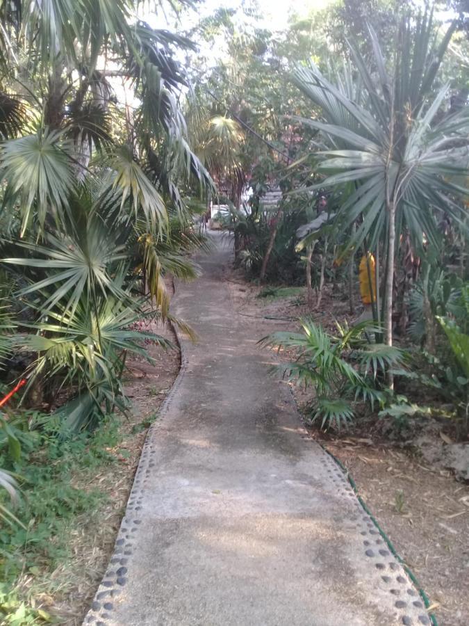 Jazba Jungle Retreat Hotel