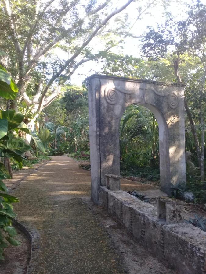 Jazba Jungle Retreat