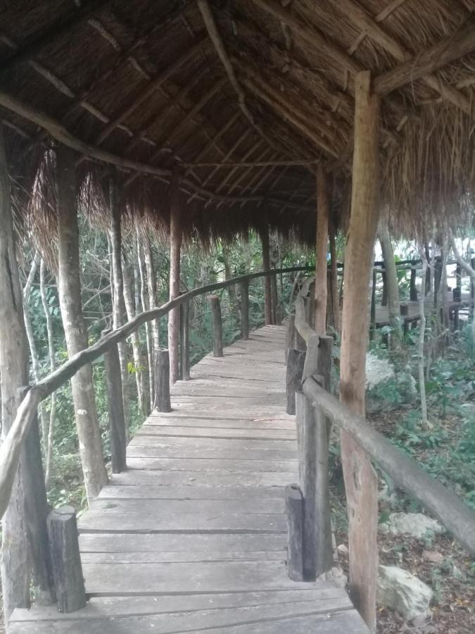 Hotel Jazba Jungle Retreat