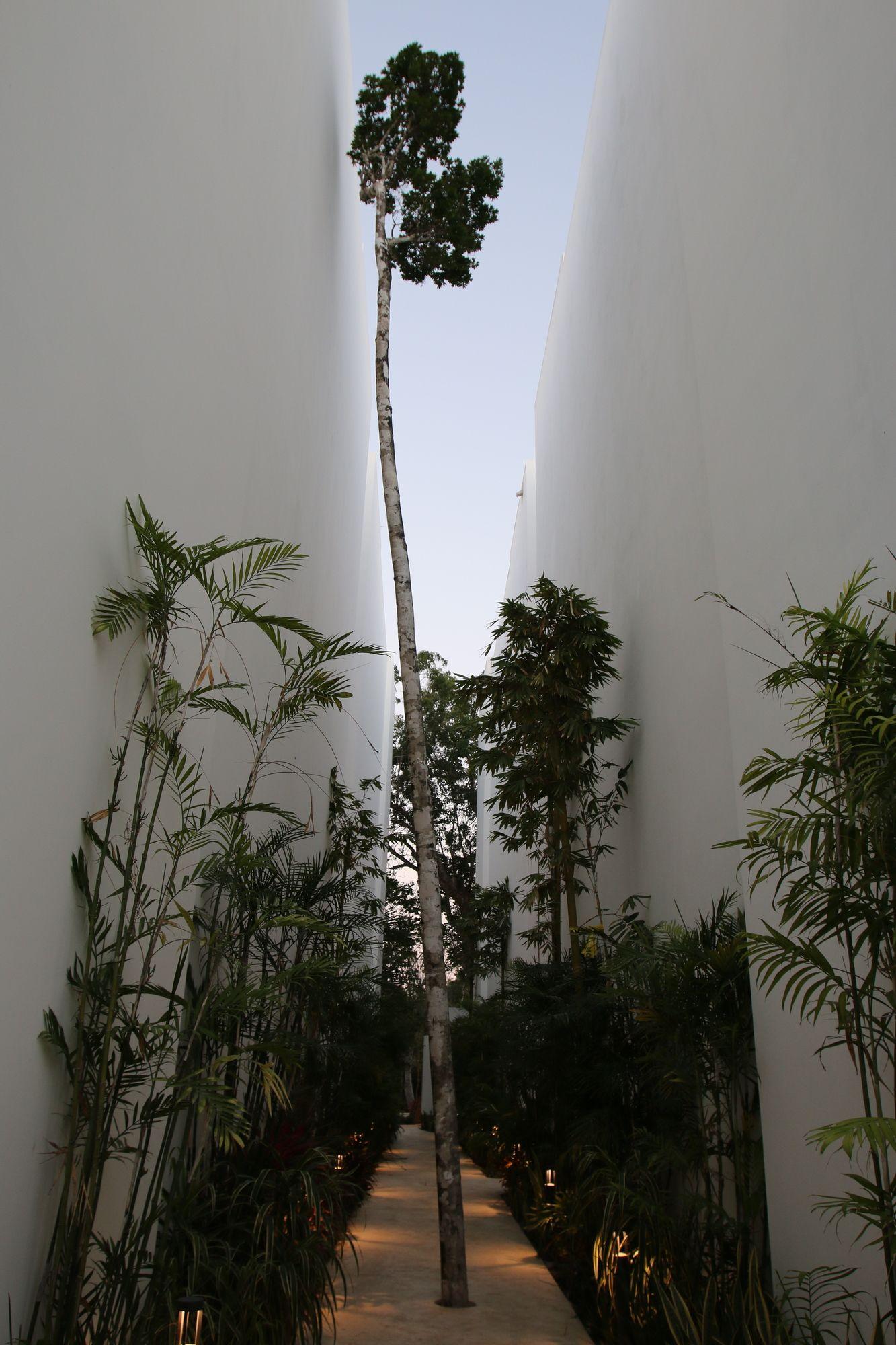 A-nah Suitestulum Apartment Tulum
