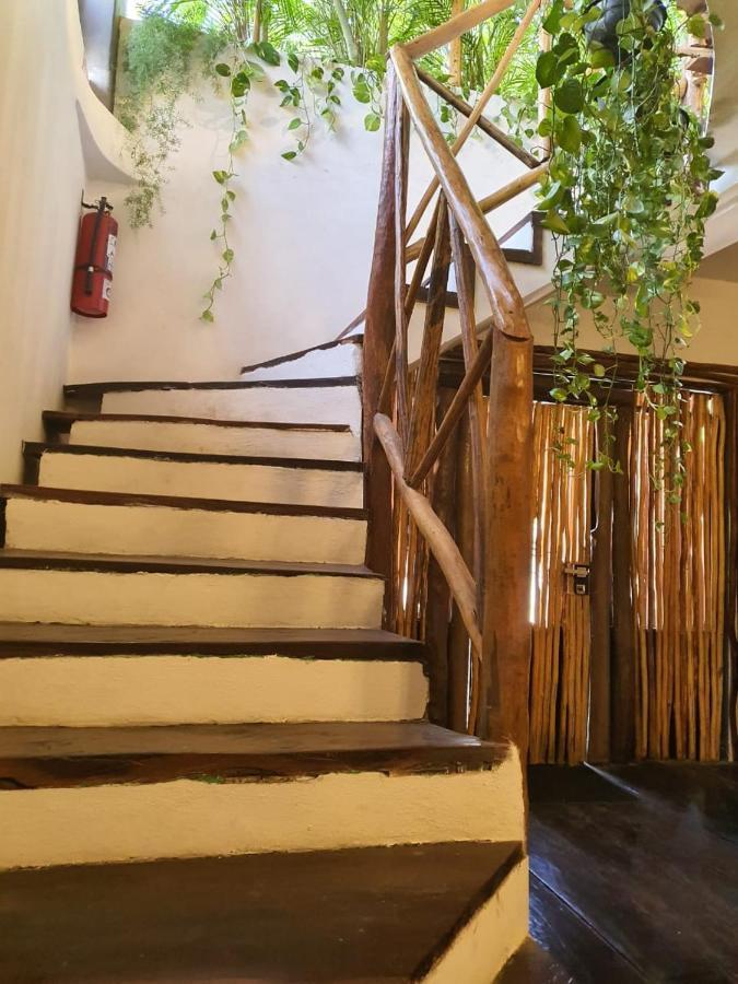 Elixir Homes Apartamento Tulum