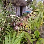 Casa Tunich Ha Tulum