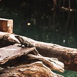 Uman Glamping & Cenote Tulum