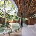 Moma Tulum