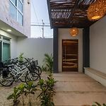 Casa del Arbol