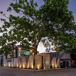 Casa del Arbol