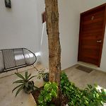 Palma Estudios