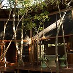OJO DE ÁRBOL, boutique cabin in the real jungle