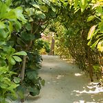 Tago Tulum By G Hotels