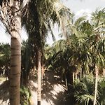 Astra Tulum