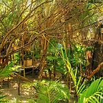 Ikal Tulum Hotel