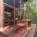OJO DE AGUA. Design+pool. Vive la auténtica selva!