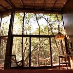 OJO DE AGUA. Design+pool. Vive la auténtica selva!