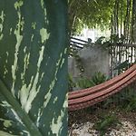 Wabi Sabi Garden Guesthouse By Amara Concepts.