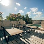 Vida Jungle Boho Apart 13 With Special Fee To Access Hotel Bardo