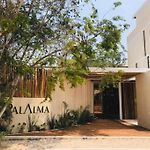 Palalma