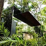 Cubo Invisible En La Selva