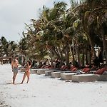 Mia Tulum Beachfront Resort - Ocean View Suites And Beach Club