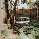 Casa Estrella De Mar Luxury New Jungle House