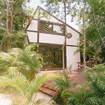 Nahouse Jungle Lodges