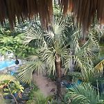 Zamunda Garden View