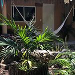 Casa Tzalam Tulum Selva