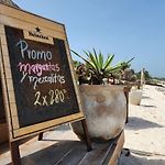 Pal Mar Glamtainer Tulum