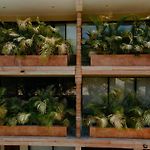 Xamira Tulum Luxury Condo