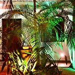 Pacha Tulum Boutique Hotel
