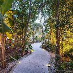 Fast Wi-Fi 1Br In Tulum With Pool, Restaurant, Gym