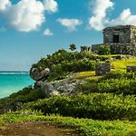 Jungle Sanctuary, 5 Pools, Beach Club, Gym, Wifi