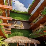 Menesse Apartments
