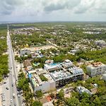 Menesse Apartments