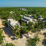 *Jungle Ph W/Pool, Close To Downtown & Beach