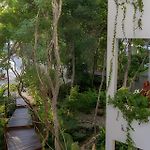 Oasis Yaaxlum