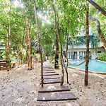 Jungle Penthouse With 2 Pools And Private Rooftop Terrace