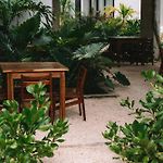 Seremonia Selva By Dream Vacay