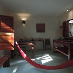 Barefoot Jungle Studios