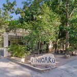 Etnika Ku Tulum Experience Luxury Amidst Nature