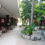Luxury Studio With Rooftop Pool In Best Location