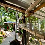 Casa Kuma