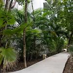 Modern Apt Tulum With 2 Bdr Gym & Pool