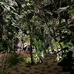 2 Bedroom Jungle Apartment In La Veleta - Palalma Casa