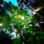 Kck Tulum Rooms