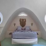 Unique Jungle Dome 2 Queen Beds
