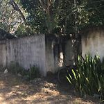 Barefoot Jungle Studios